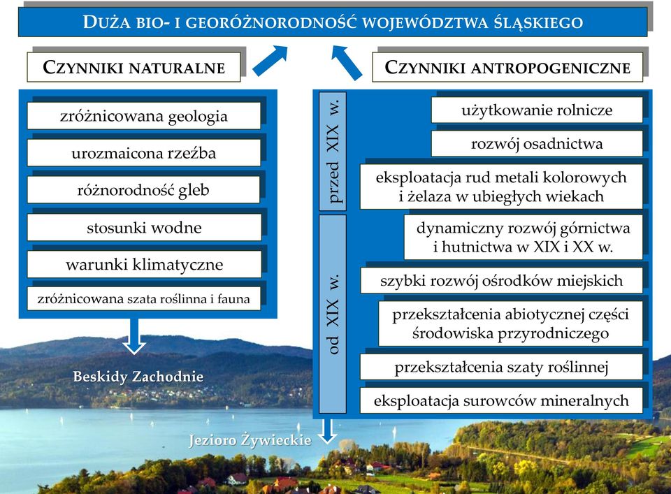 gleb stosunki wodne warunki klimatyczne zróżnicowana szata roślinna i fauna użytkowanie rolnicze rozwój osadnictwa eksploatacja rud metali kolorowych