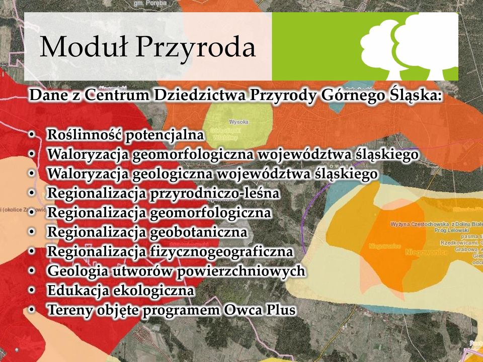 przyrodniczo-leśna Regionalizacja geomorfologiczna Regionalizacja geobotaniczna Regionalizacja