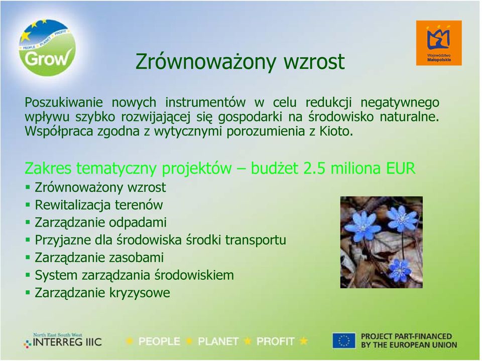 Zakres tematyczny projektów budżet 2.