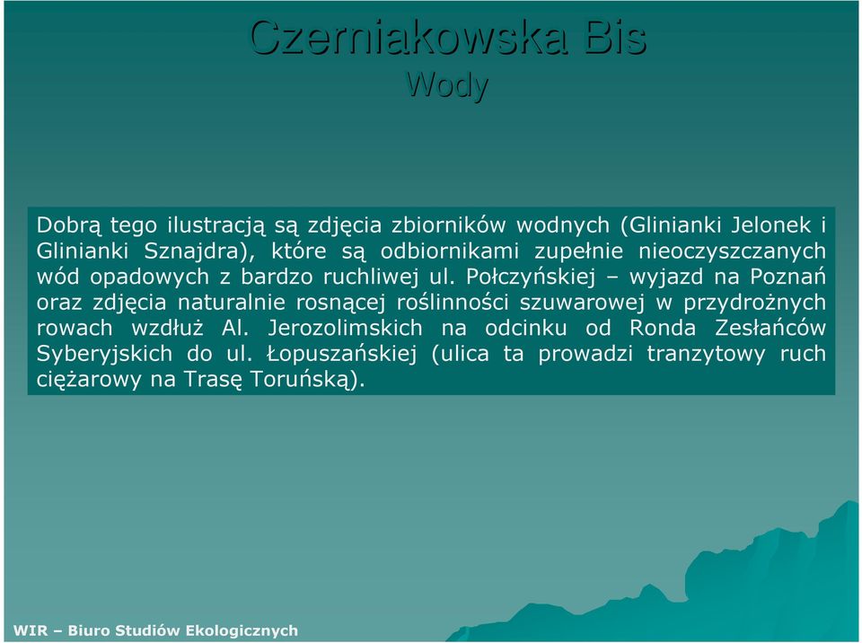 Połczyńskiej wyjazd na Poznań oraz zdjęcia naturalnie rosnącej roślinności szuwarowej w przydroŝnych rowach