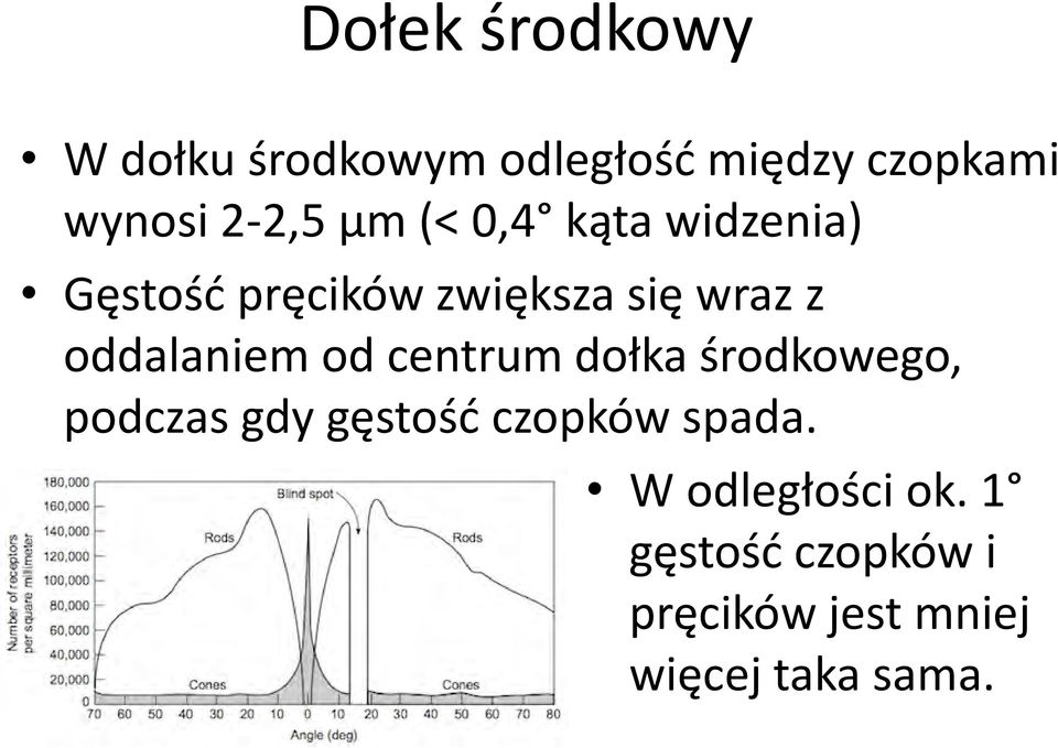 oddalaniem od centrum dołka środkowego, podczas gdy gęstość czopków