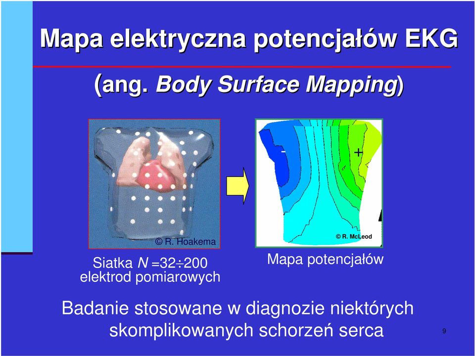 Hoakema Siatka N =32 200 elektrod pomiarowych R.