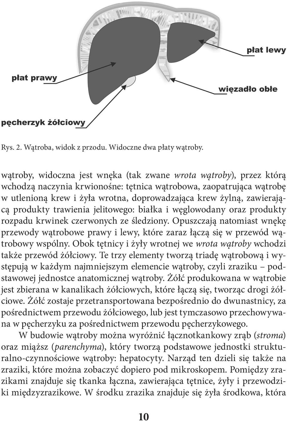 zawierającą produkty trawienia jelitowego: białka i węglowodany oraz produkty rozpadu krwinek czerwonych ze śledziony.