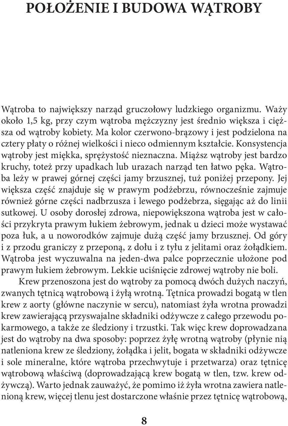 Miąższ wątroby jest bardzo kruchy, toteż przy upadkach lub urazach narząd ten łatwo pęka. Wątroba leży w prawej górnej części jamy brzusznej, tuż poniżej przepony.