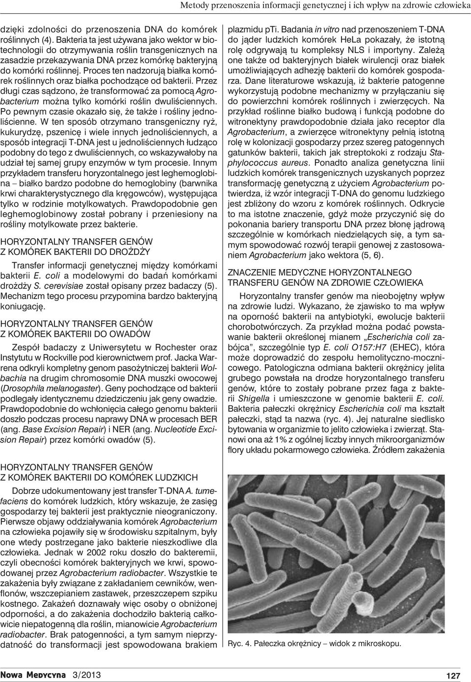 Proces ten nadzorują białka komórek roślinnych oraz białka pochodzące od bakterii. Przez długi czas sądzono, że transformować za pomocą Agrobacterium można tylko komórki roślin dwuliściennych.