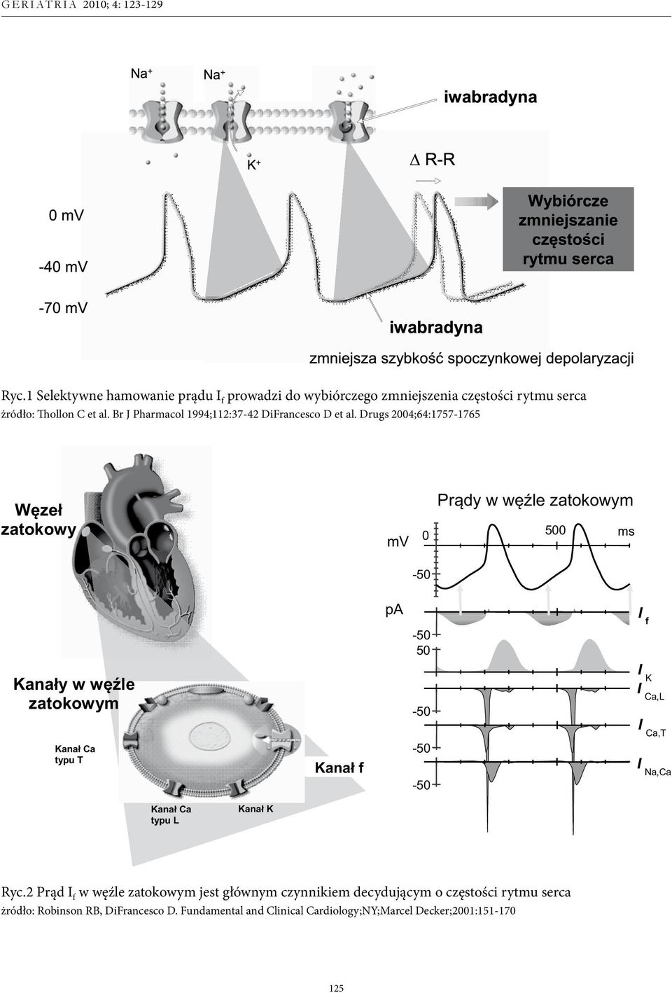 Drugs 2004;64:1757-1765 Węzeł zatokowy mv 0 Prądy w węźle zatokowym 500 ms pa 50 I f Kanały w węźle zatokowym I K I Ca,L I Ca,T Kanał Ca