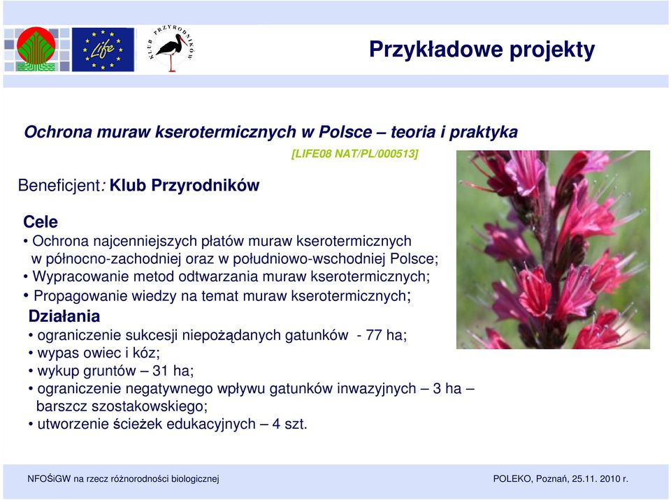 kserotermicznych; Propagowanie wiedzy na temat muraw kserotermicznych; Działania ograniczenie sukcesji niepożądanych gatunków - 77 ha; wypas