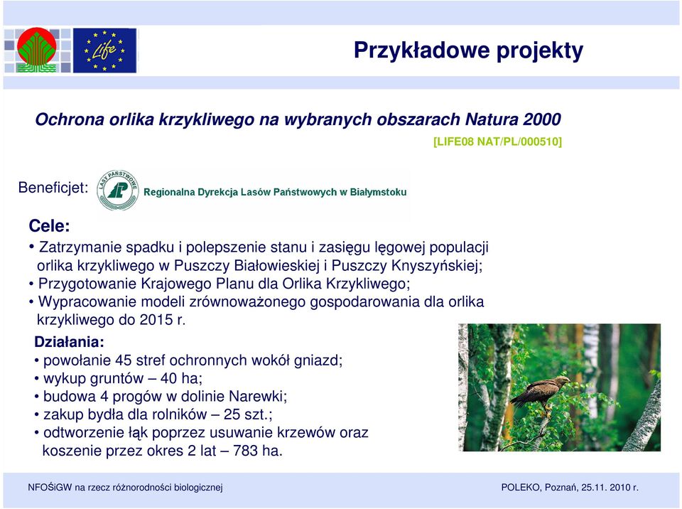 Krzykliwego; Wypracowanie modeli zrównoważonego gospodarowania dla orlika krzykliwego do 2015 r.