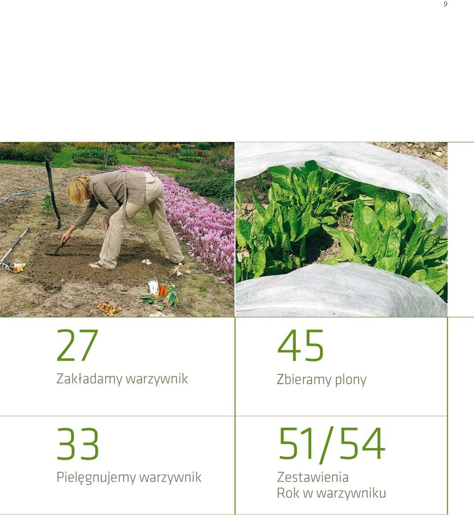 Pielęgnujemy warzywnik
