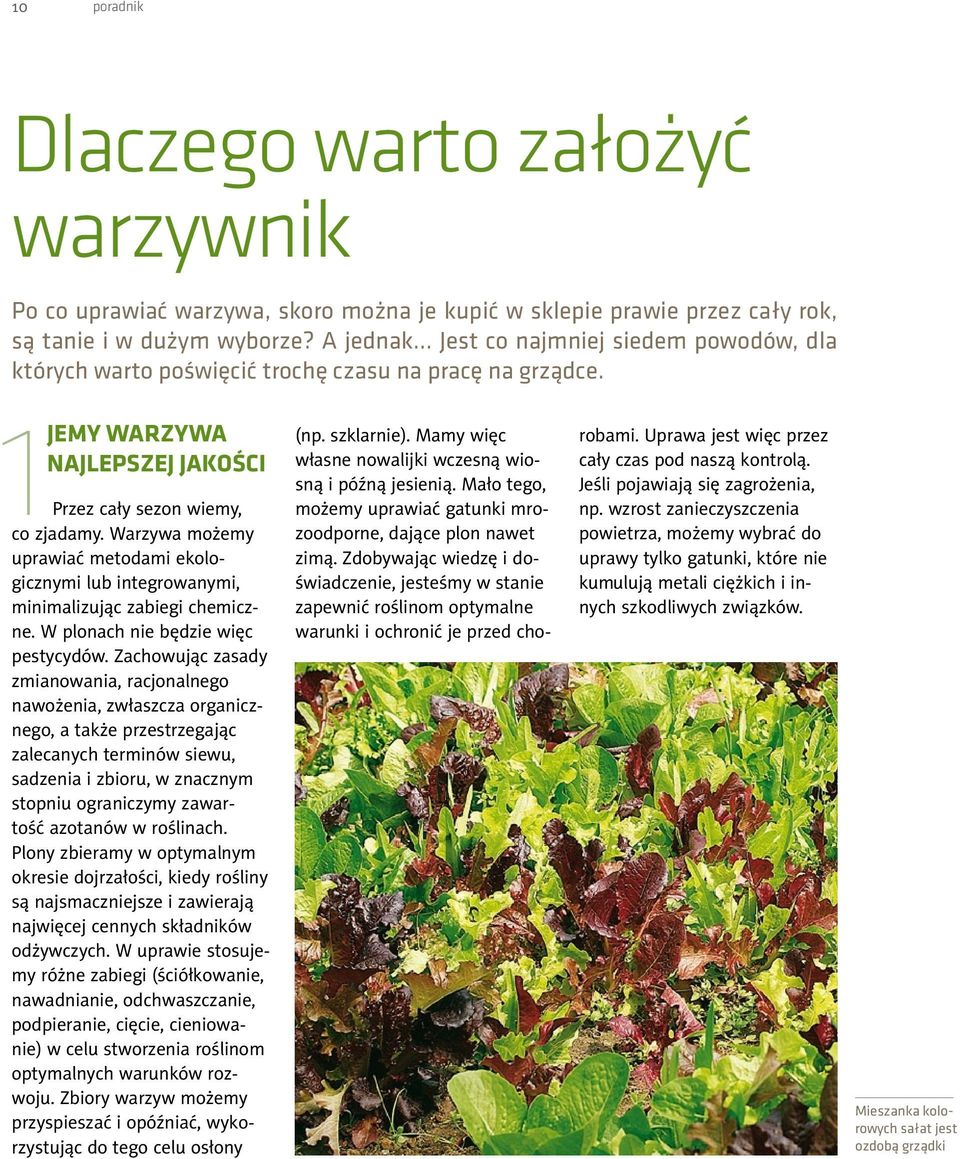 Warzywa możemy uprawiać metodami ekologicznymi lub integrowanymi, minimalizując zabiegi chemiczne. W plonach nie będzie więc pestycydów.