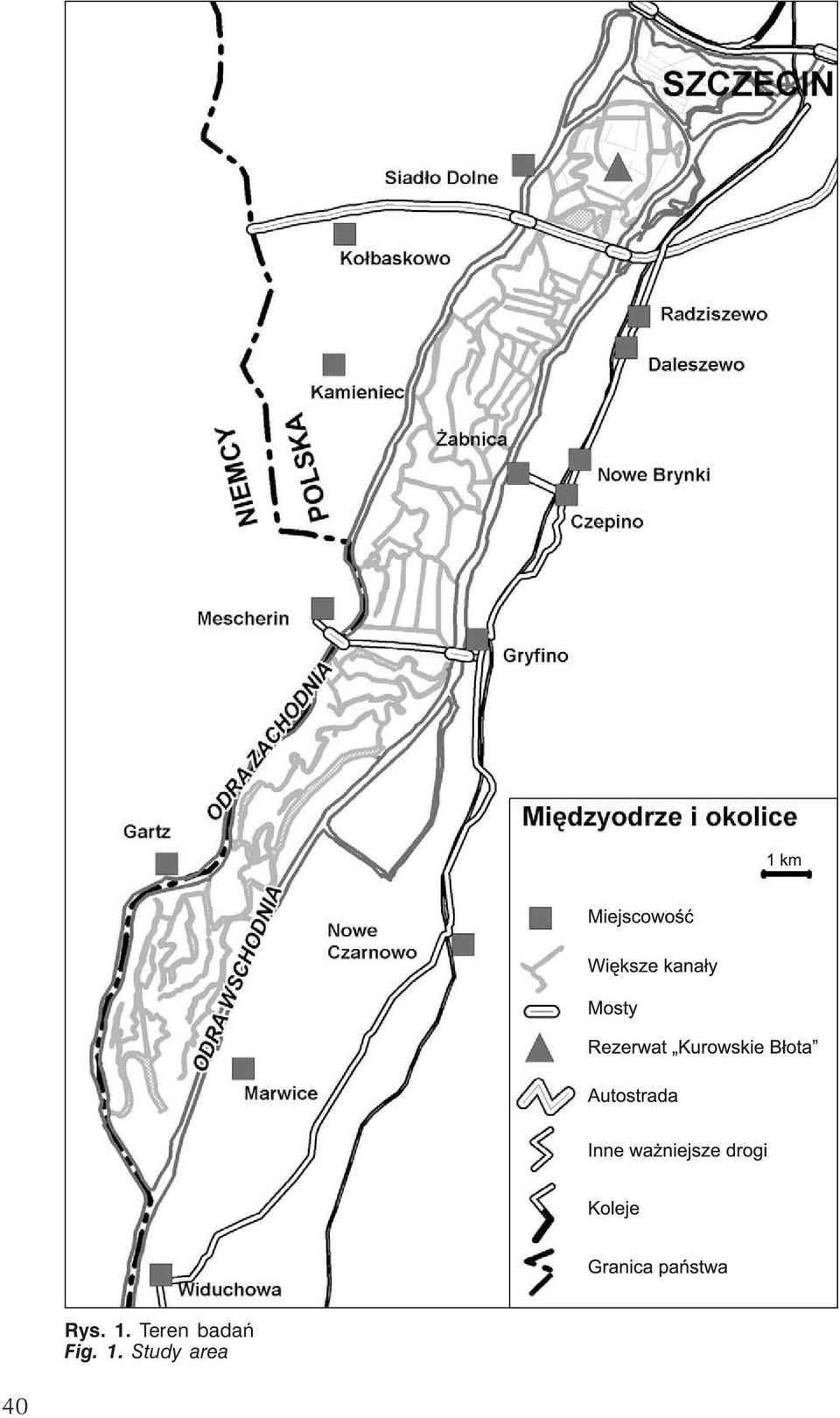 badań Fig.
