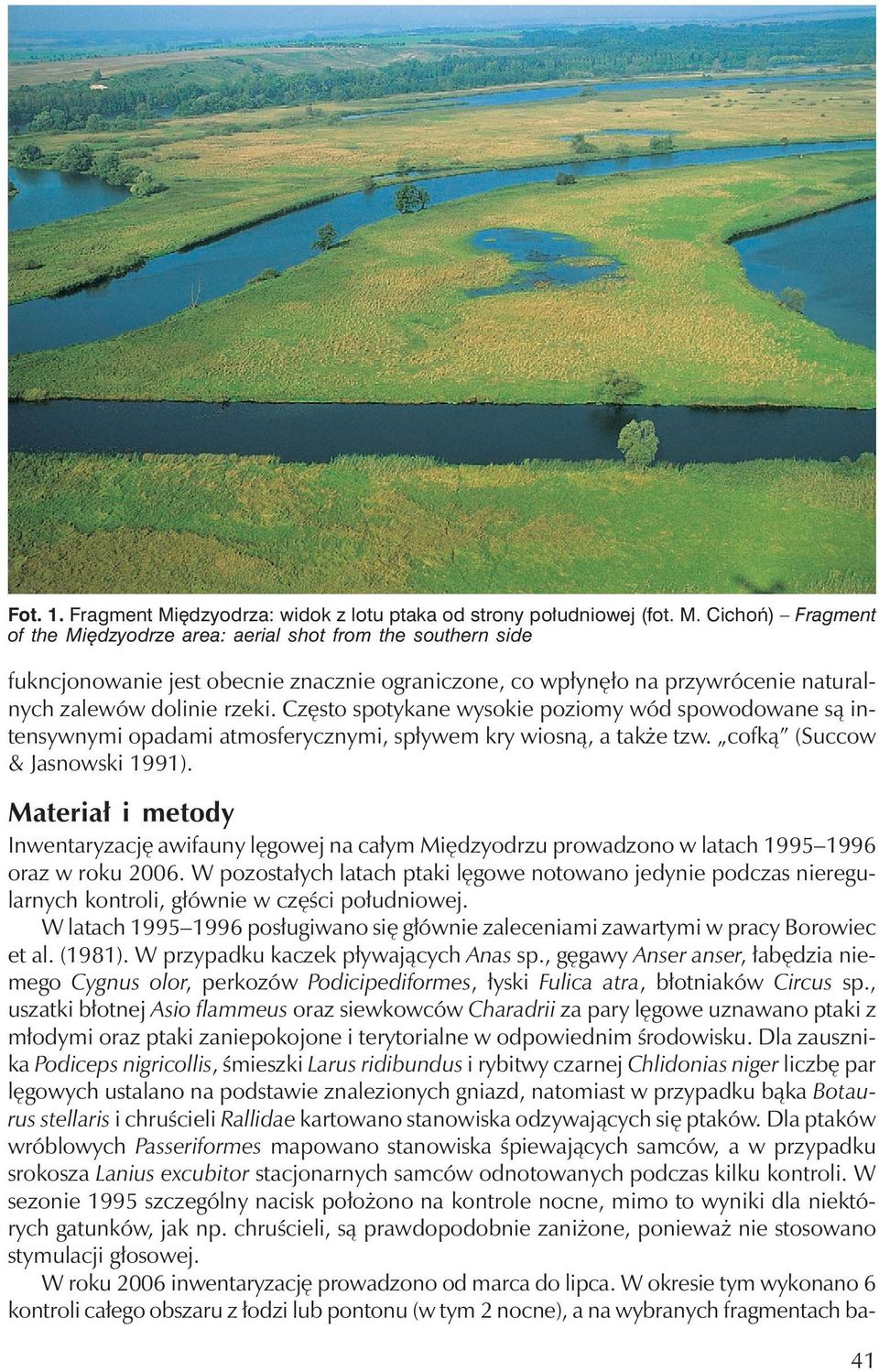 Cichoń) Fragment of the Międzyodrze area: aerial shot from the southern side fukncjonowanie jest obecnie znacznie ograniczone, co wpłynęło na przywrócenie naturalnychzalewów dolinie rzeki.