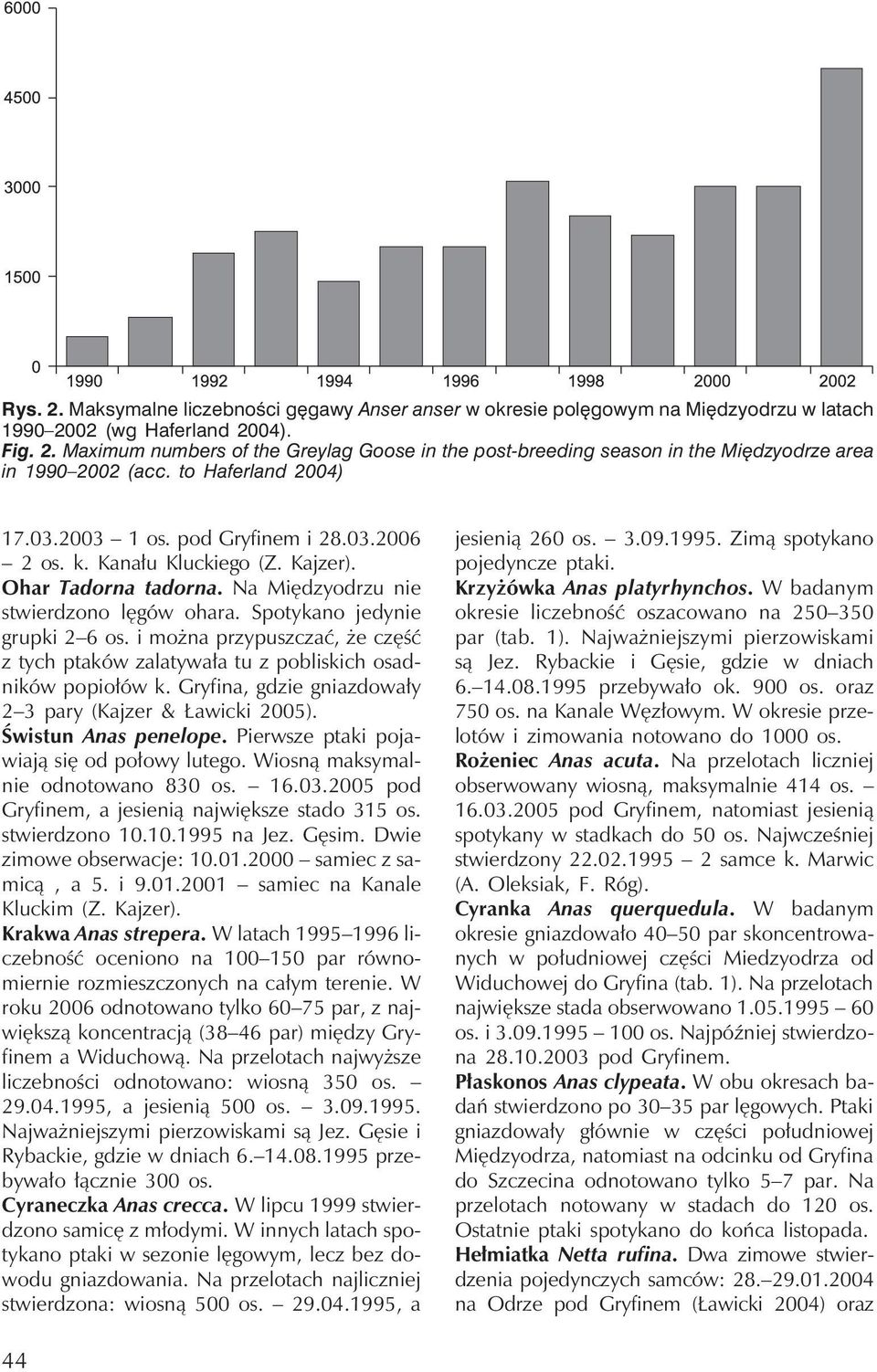 i można przypuszczać, że część z tychptaków zalatywała tu z pobliskichosadników popiołów k. Gryfina, gdzie gniazdowały 2 3 pary (Kajzer & Ławicki 2005). Świstun Anas penelope.