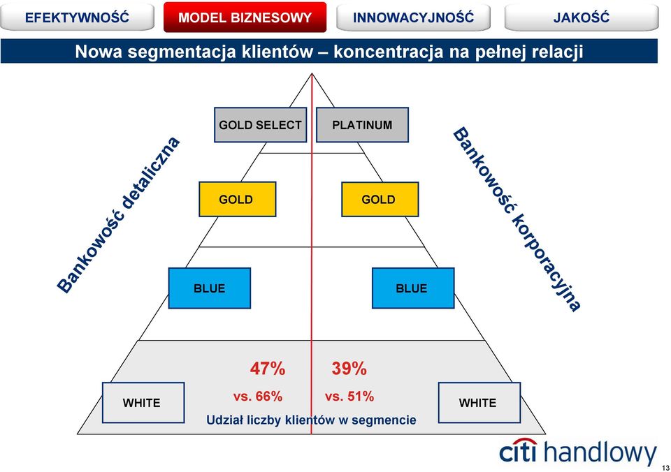 PLATINUM GOLD BLUE Bankowość korporacyjna WHITE 47%