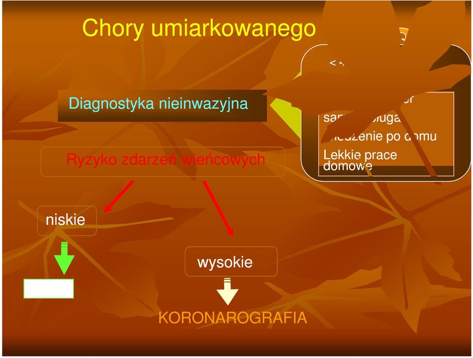 spacer samoobsługa chodzenie po domu Lekkie