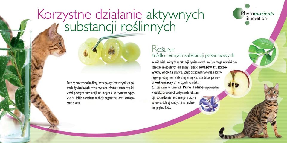 ROÂLINY êród o cennych substancji pokarmowych WÊród wielu ró nych substancji ywieniowych, roêliny mogà równie dostarczaç niezb dnych dla skóry i sierêci kwasów t uszczowych, w ókna u