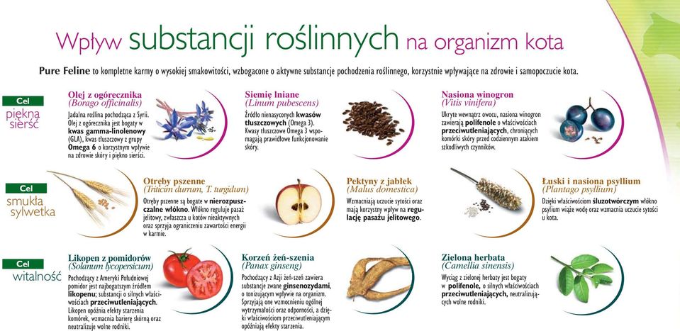 kota. Cel pi kna sierêç Olej z ogórecznika (Borago officinalis) Jadalna roêlina pochodzàca z Syrii.