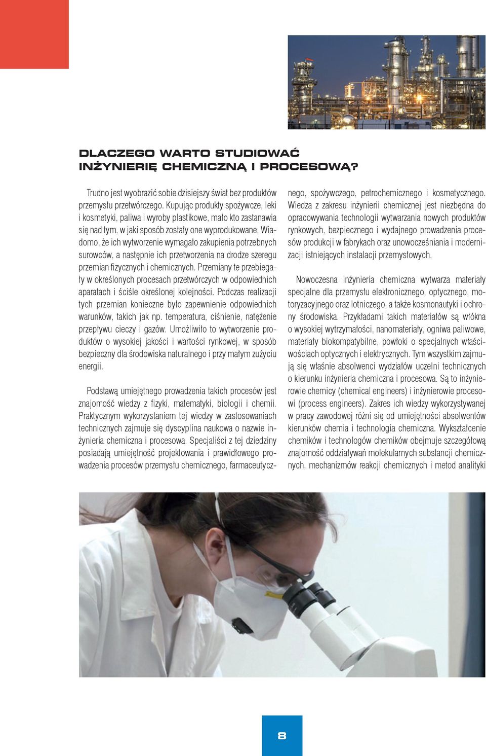 Wiadomo, że ich wytworzenie wymagało zakupienia potrzebnych surowców, a następnie ich przetworzenia na drodze szeregu przemian fizycznych i chemicznych.