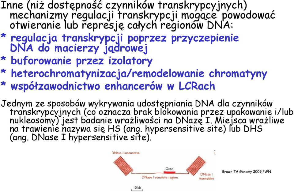 enhancerów w LCRach Jednym ze sposobów wykrywania udostępniania DNA dla czynników transkrypcyjnych (co oznacza brak blokowania przez upakowanie i/lub nukleosomy)