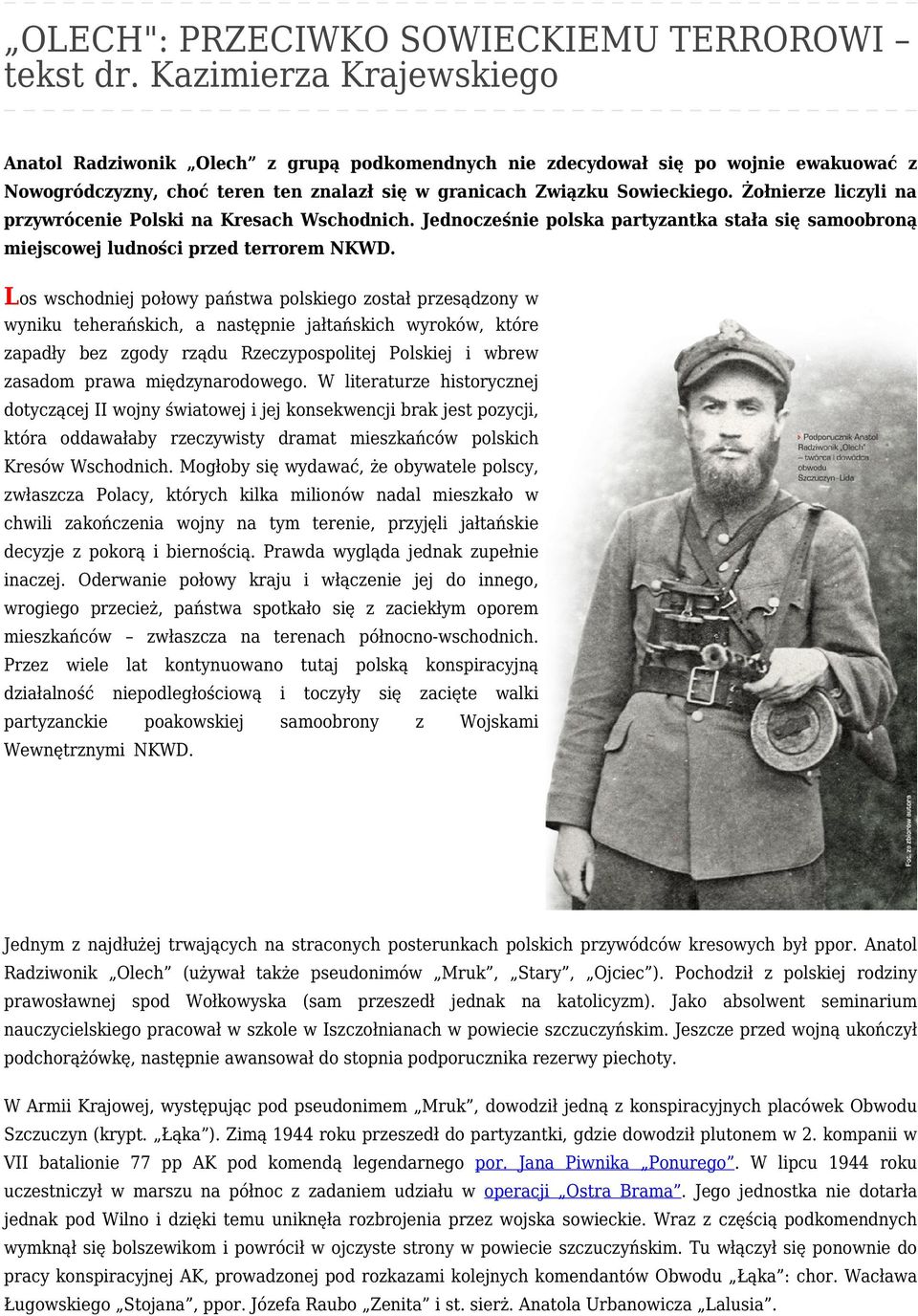 Żołnierze liczyli na przywrócenie Polski na Kresach Wschodnich. Jednocześnie polska partyzantka stała się samoobroną miejscowej ludności przed terrorem NKWD.