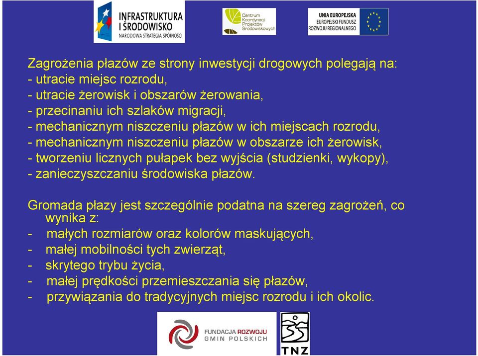 (studzienki, wykopy), - zanieczyszczaniu środowiska płazów.