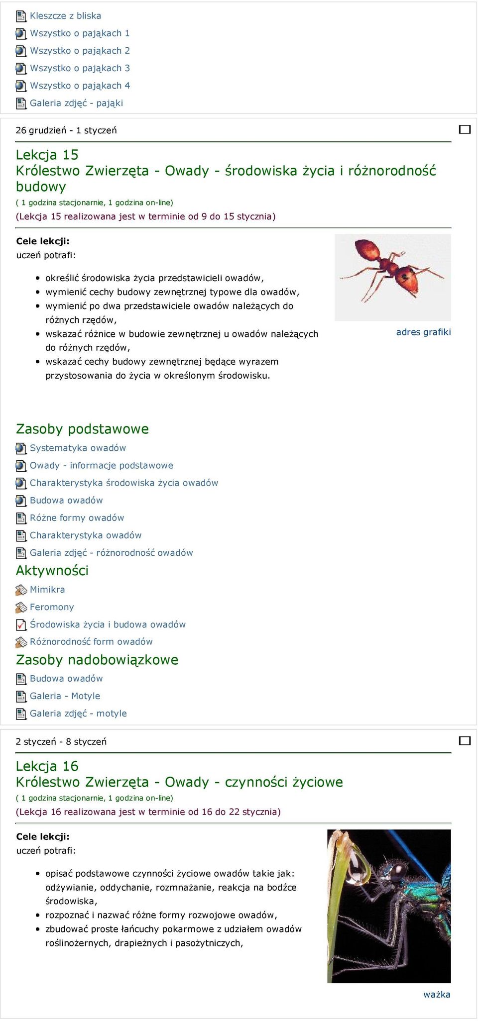 owadów, wymienić po dwa przedstawiciele owadów należących do różnych rzędów, wskazać różnice w budowie zewnętrznej u owadów należących do różnych rzędów, wskazać cechy budowy zewnętrznej będące