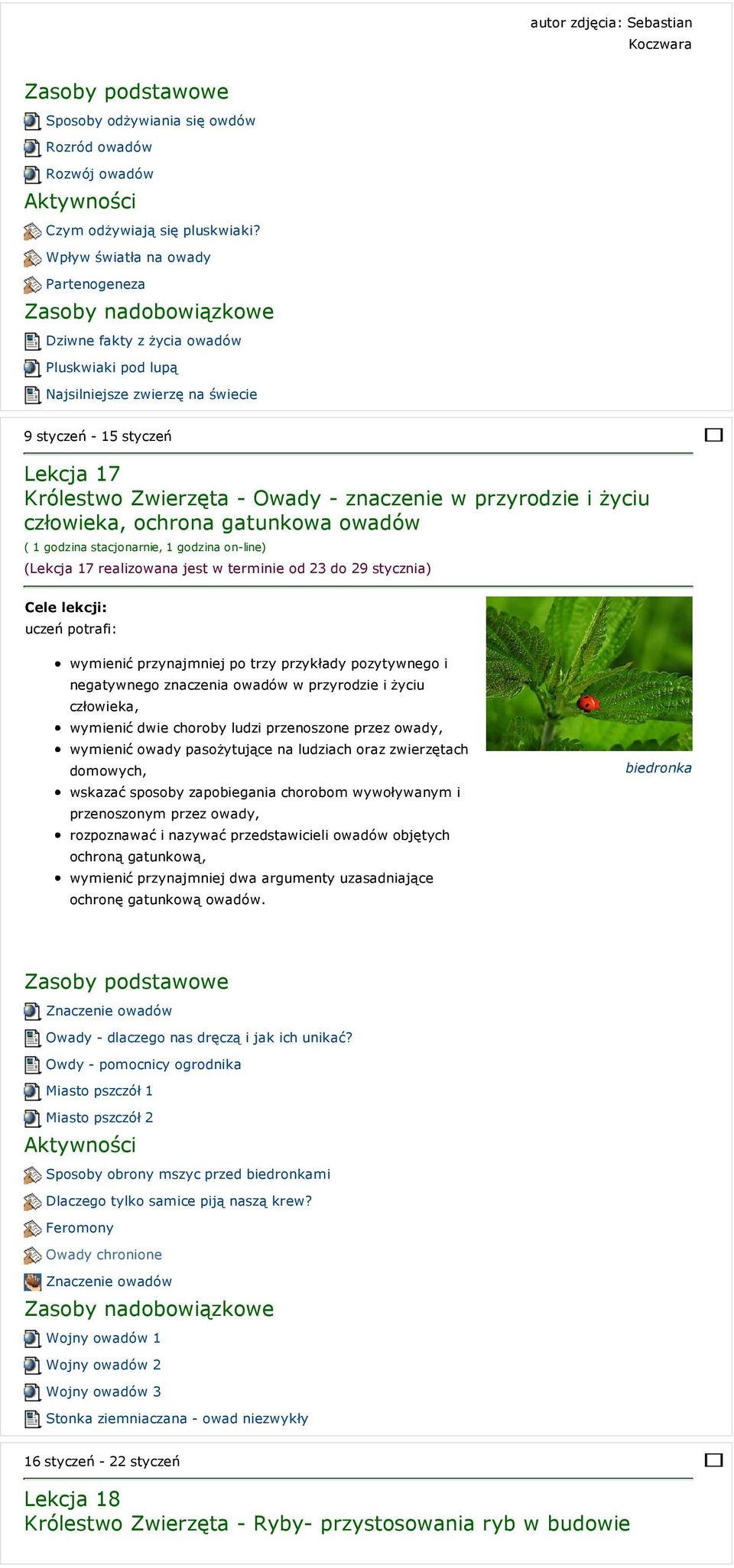przyrodzie i życiu człowieka, ochrona gatunkowa owadów (Lekcja 17 realizowana jest w terminie od 23 do 29 stycznia) wymienić przynajmniej po trzy przykłady pozytywnego i negatywnego znaczenia owadów