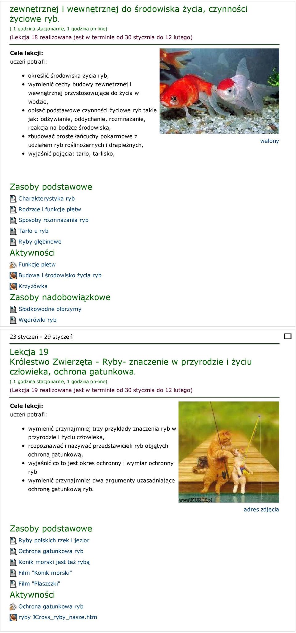 czynności życiowe ryb takie jak: odżywianie, oddychanie, rozmnażanie, reakcja na bodźce środowiska, zbudować proste łańcuchy pokarmowe z udziałem ryb roślinożernych i drapieżnych, wyjaśnić pojęcia: