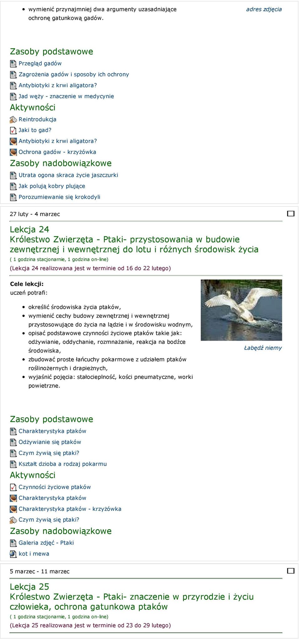 Ochrona gadów - krzyżówka Utrata ogona skraca życie jaszczurki Jak polują kobry plujące Porozumiewanie się krokodyli 27 luty - 4 marzec Lekcja 24 Królestwo Zwierzęta - Ptaki- przystosowania w budowie