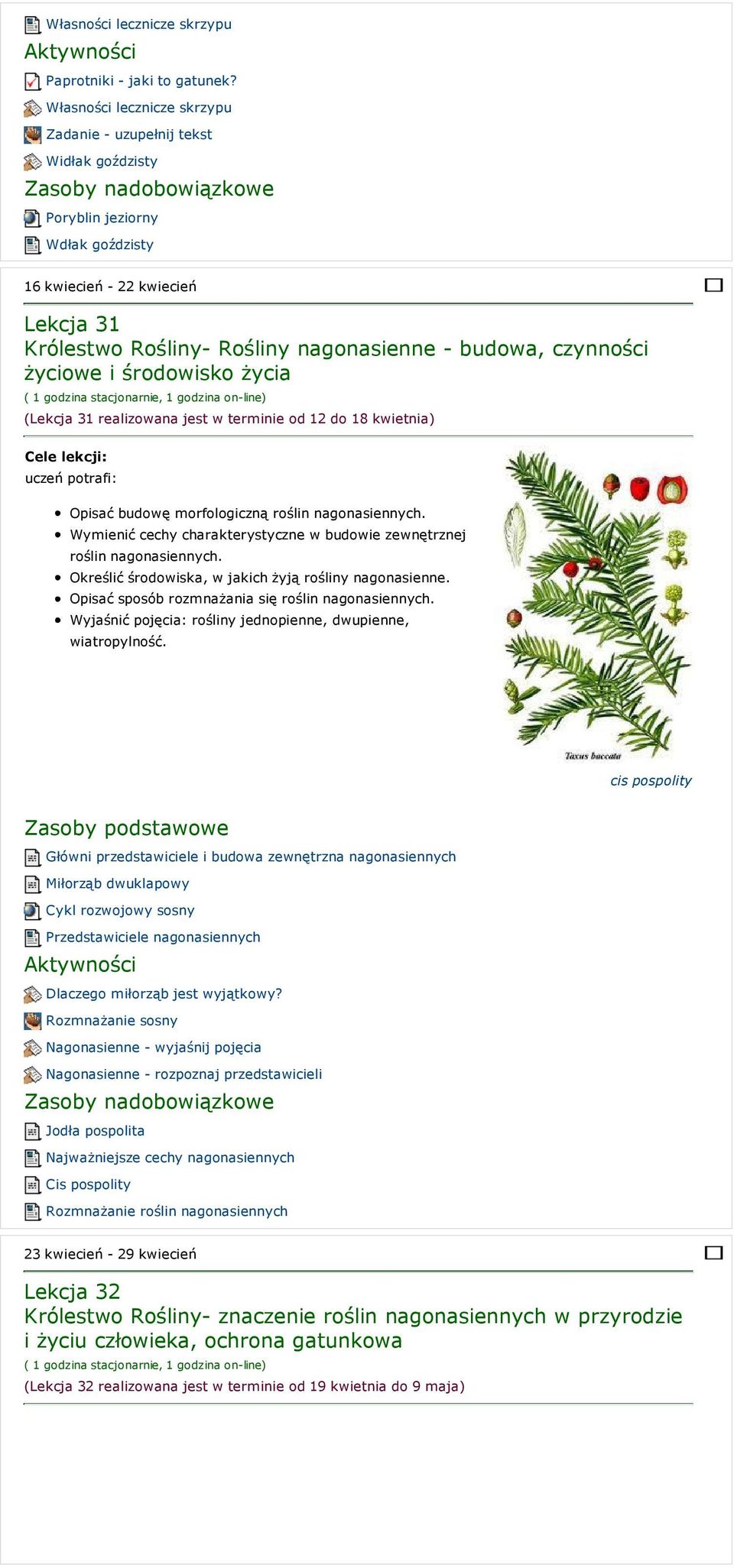 czynności życiowe i środowisko życia (Lekcja 31 realizowana jest w terminie od 12 do 18 kwietnia) Opisać budowę morfologiczną roślin nagonasiennych.