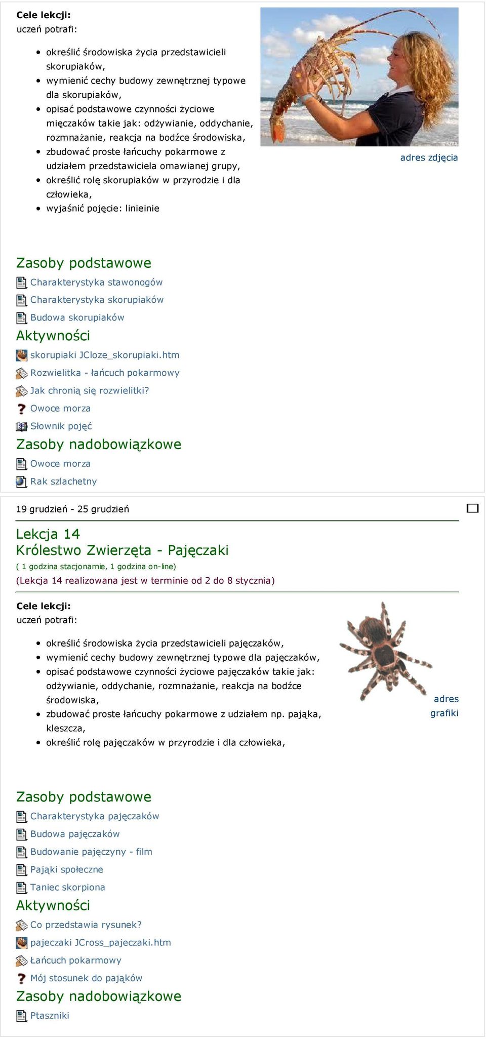 linieinie adres zdjęcia Charakterystyka stawonogów Charakterystyka skorupiaków Budowa skorupiaków skorupiaki JCloze_skorupiaki.htm Rozwielitka - łańcuch pokarmowy Jak chronią się rozwielitki?