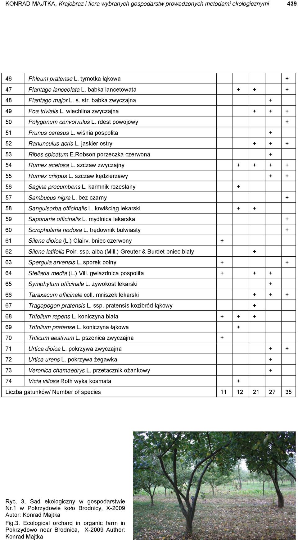wiśnia pospolita + 52 Ranunculus acris L. jaskier ostry + + + 53 Ribes spicatum E.Robson porzeczka czerwona + 54 Rumex acetosa L. szczaw zwyczajny + + + + 55 Rumex crispus L.
