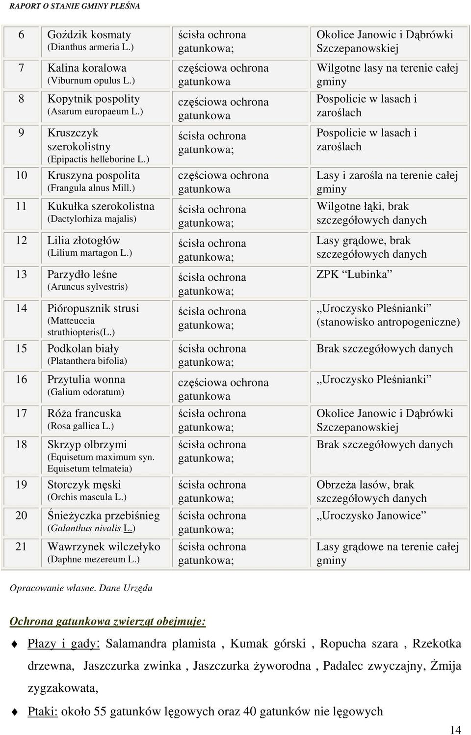 ) 13 Parzydło leśne (Aruncus sylvestris) 14 Pióropusznik strusi (Matteuccia struthiopteris(l.