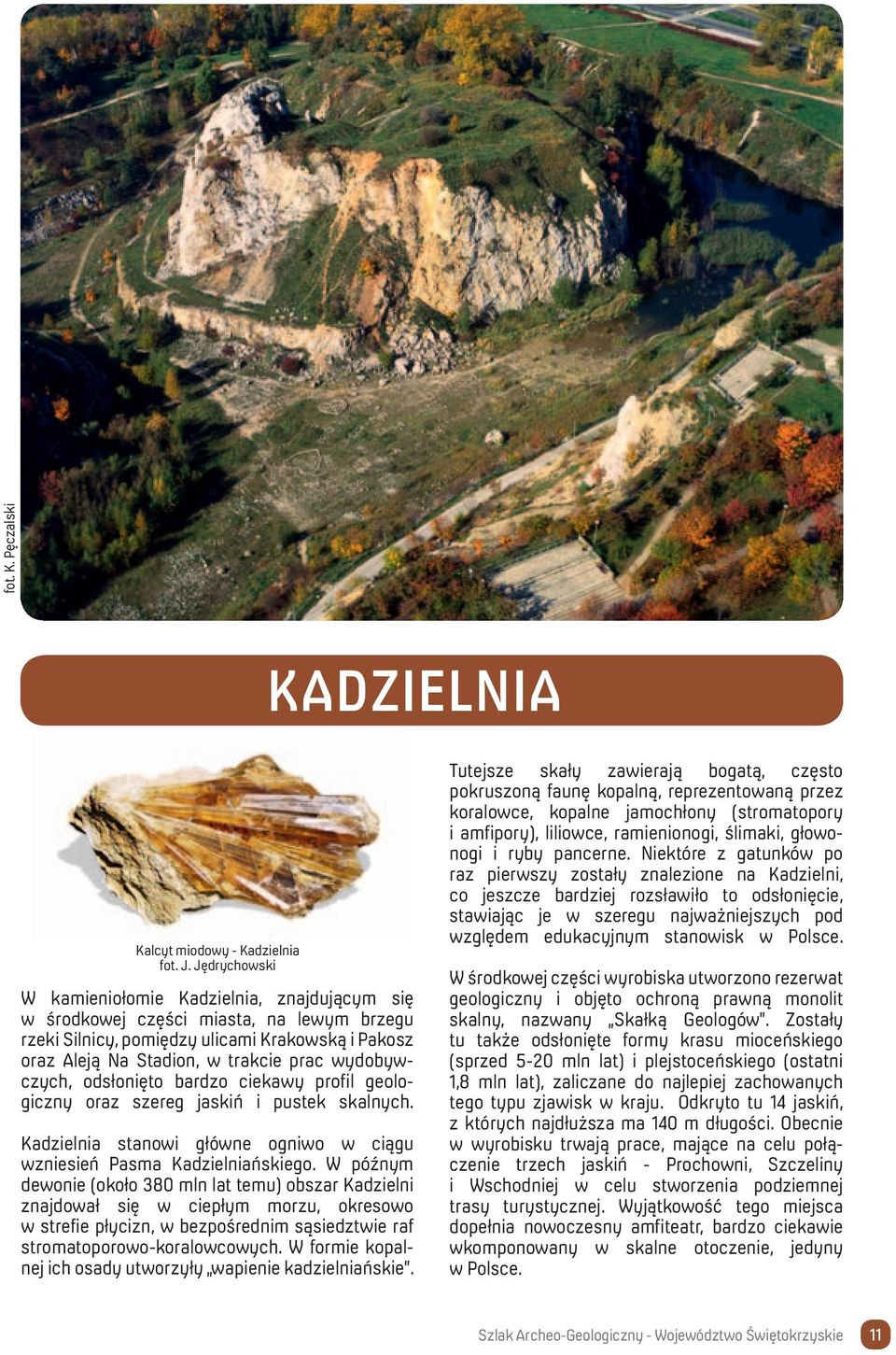 wydobywczych, odsłonięto bardzo ciekawy profil geologiczny oraz szereg jaskiń i pustek skalnych. Kadzielnia stanowi główne ogniwo w ciągu wzniesień Pasma Kadzielniańskiego.
