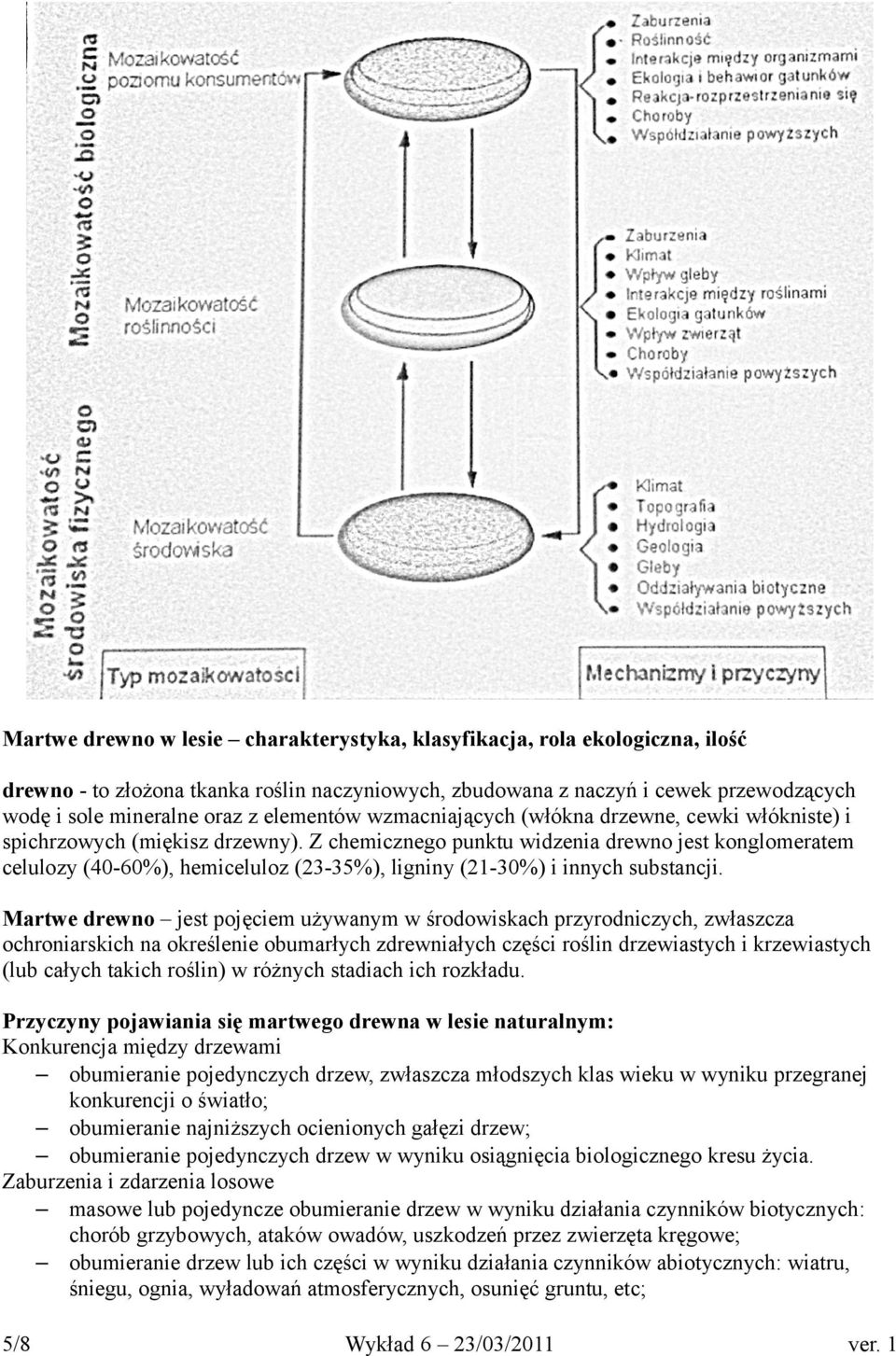 Z chemicznego punktu widzenia drewno jest konglomeratem celulozy (40-60%), hemiceluloz (23-35%), ligniny (21-30%) i innych substancji.