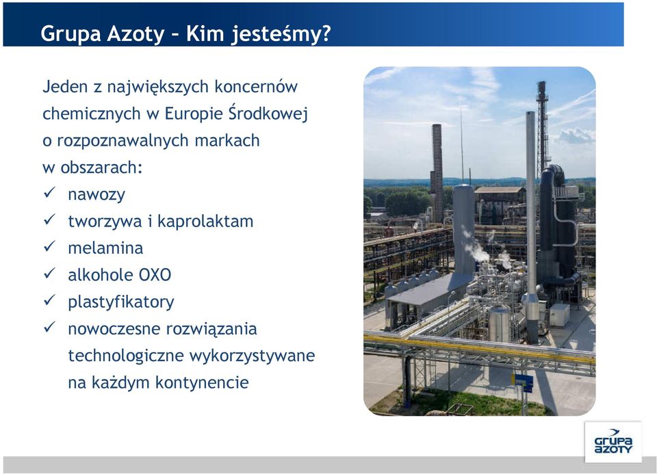 rozpoznawalnych markach w obszarach: nawozy tworzywa i kaprolaktam