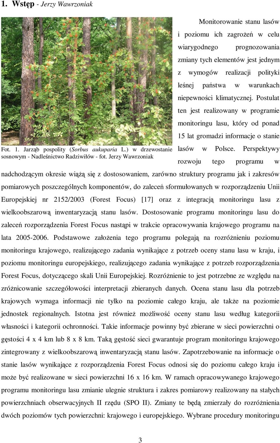 ) w drzewostanie lasów sosnowym - Nadleśnictwo Radziwiłów - fot. Jerzy Wawrzoniak rozwoju w Polsce.