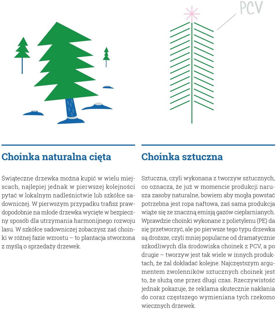 W szkółce sadowniczej zobaczysz zaś choinki w różnej fazie wzrostu to plantacja stworzona z myślą o sprzedaży drzewek.