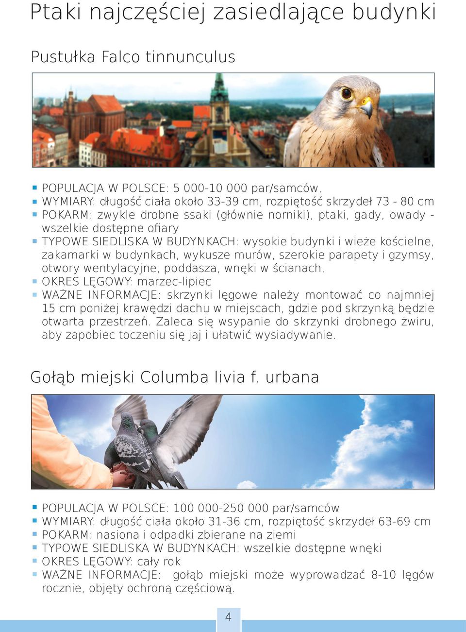 i gzymsy, otwory wentylacyjne, poddasza, wnęki w ścianach, OKRES LĘGOWY: marzec-lipiec WAŻNE INFORMACJE: skrzynki lęgowe należy montować co najmniej 15 cm poniżej krawędzi dachu w miejscach, gdzie