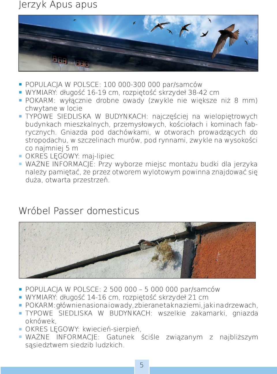 Gniazda pod dachówkami, w otworach prowadzących do stropodachu, w szczelinach murów, pod rynnami, zwykle na wysokości co najmniej 5 m OKRES LĘGOWY: maj-lipiec WAŻNE INFORMACJE: Przy wyborze miejsc