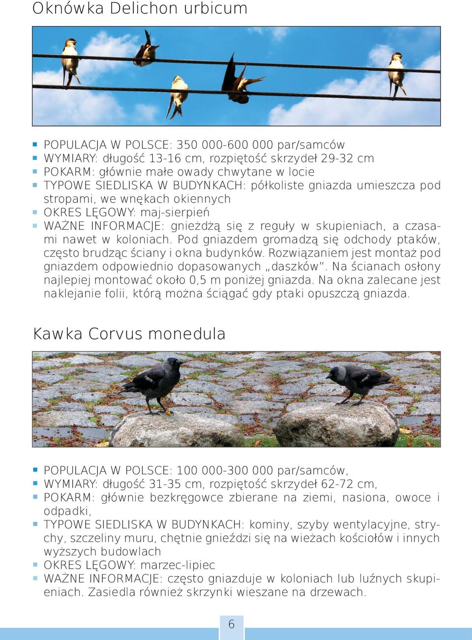 Pod gniazdem gromadzą się odchody ptaków, często brudząc ściany i okna budynków. Rozwiązaniem jest montaż pod gniazdem odpowiednio dopasowanych daszków.