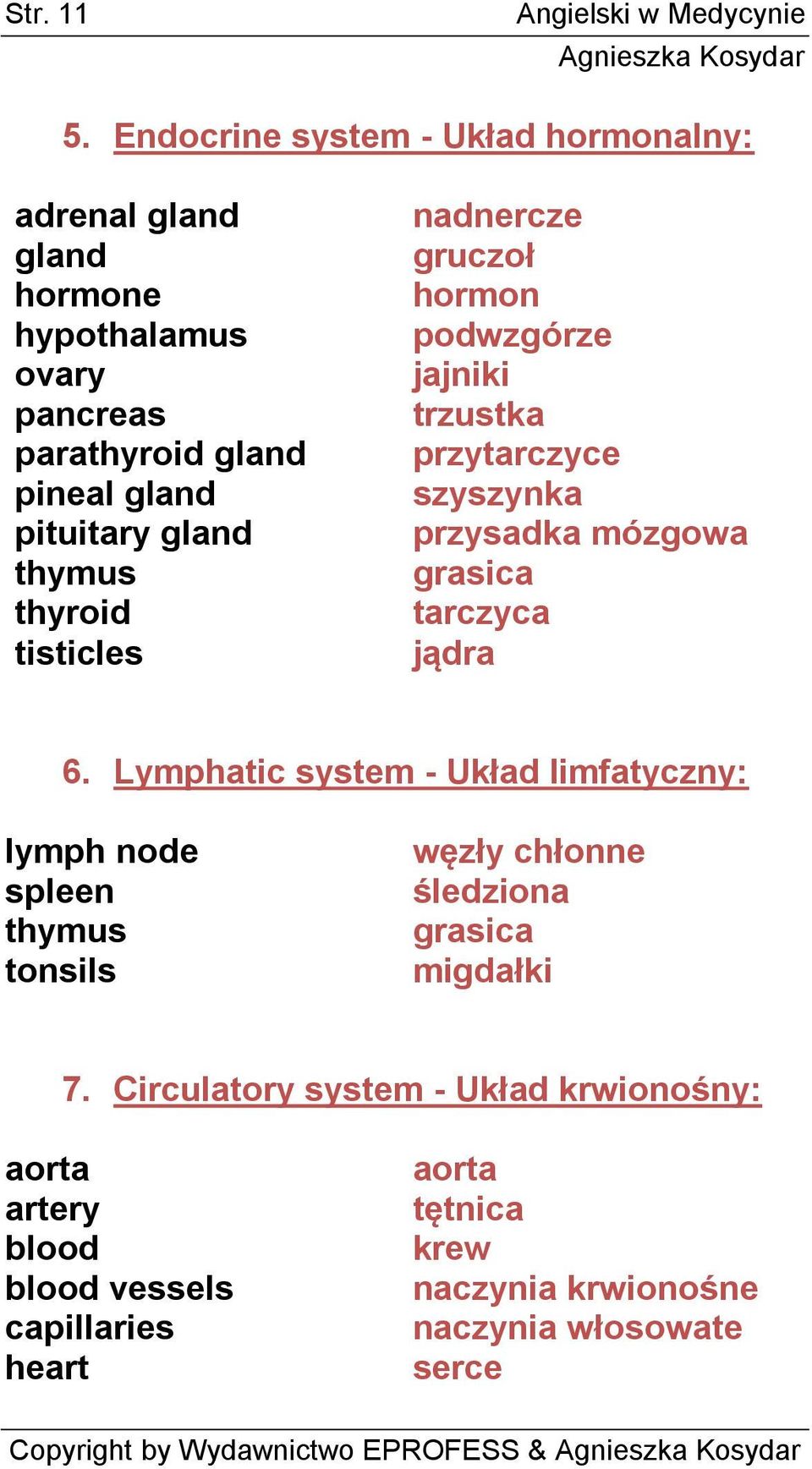 thyroid tisticles nadnercze gruczoł hormon podwzgórze jajniki trzustka przytarczyce szyszynka przysadka mózgowa grasica tarczyca jądra 6.