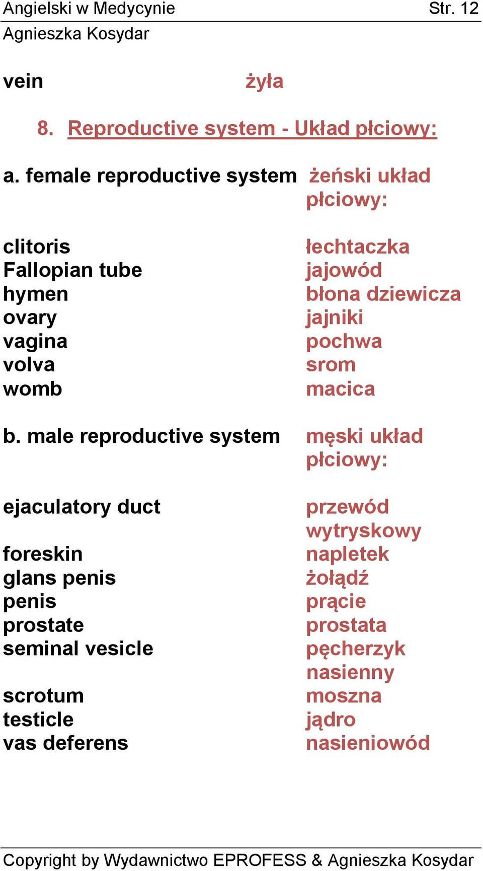 błona dziewicza jajniki pochwa srom macica b.