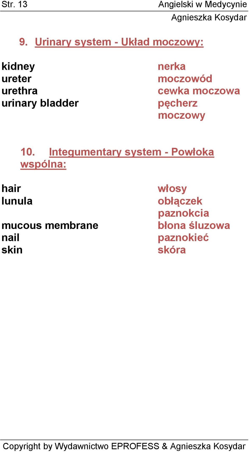nerka moczowód cewka moczowa pęcherz moczowy 10.
