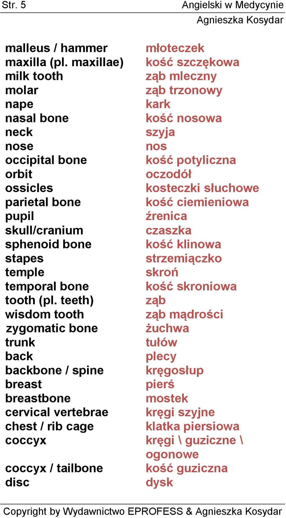 kosteczki słuchowe parietal bone kość ciemieniowa pupil źrenica skull/cranium czaszka sphenoid bone kość klinowa stapes strzemiączko temple skroń temporal bone kość skroniowa