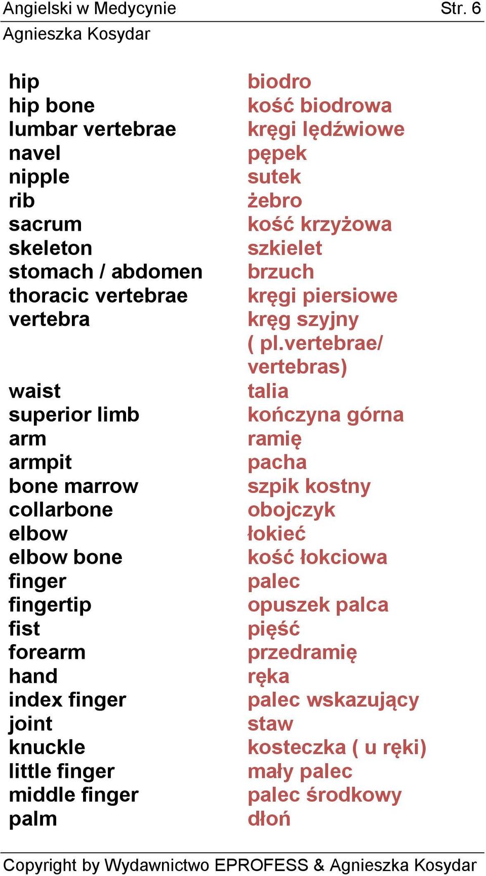 collarbone elbow elbow bone finger fingertip fist forearm hand index finger joint knuckle little finger middle finger palm biodro kość biodrowa kręgi