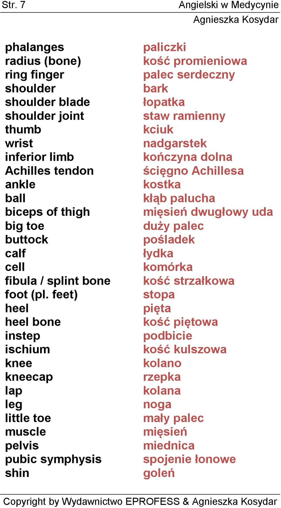 feet) heel heel bone instep ischium knee kneecap lap leg little toe muscle pelvis pubic symphysis shin Angielski w Medycynie paliczki kość promieniowa palec serdeczny