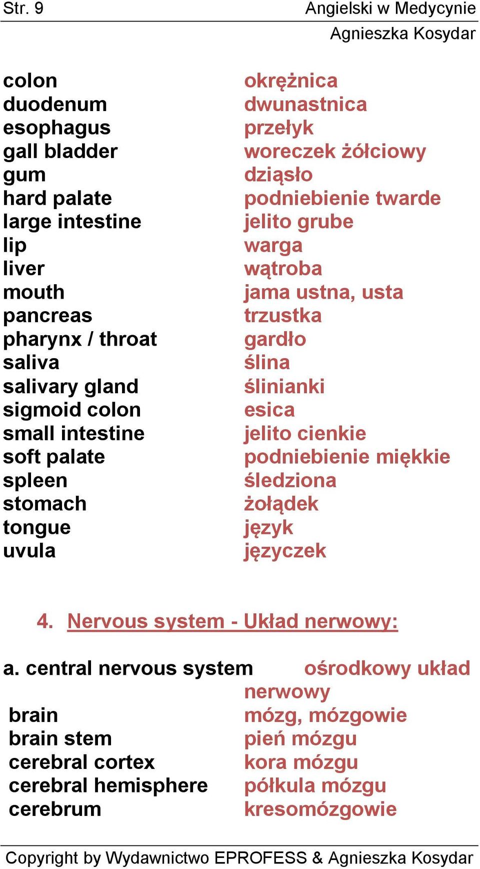 wątroba jama ustna, usta trzustka gardło ślina ślinianki esica jelito cienkie podniebienie miękkie śledziona żołądek język języczek 4.