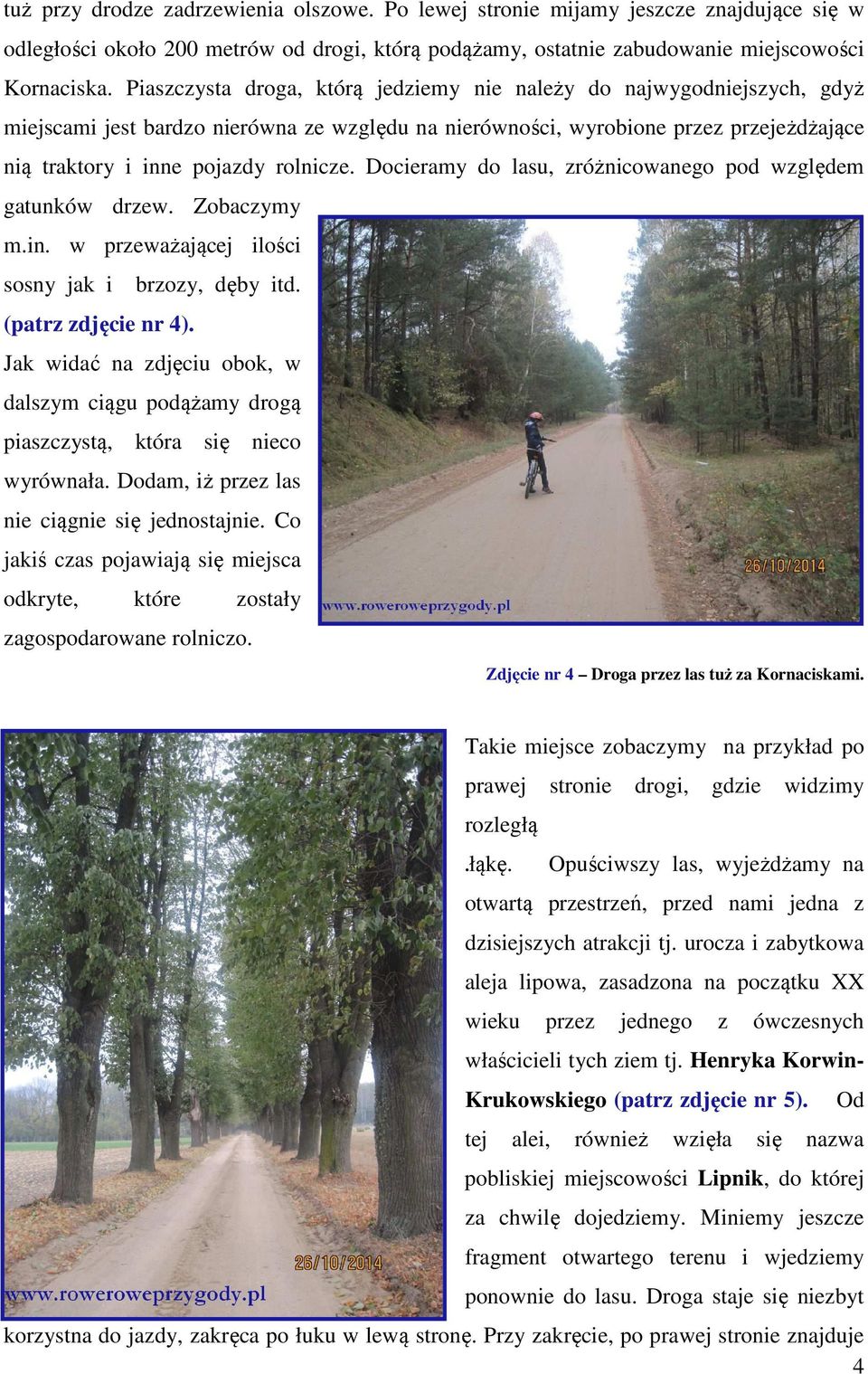 Docieramy do lasu, zróżnicowanego pod względem gatunków drzew. Zobaczymy m.in. w przeważającej ilości sosny jak i brzozy, dęby itd. (patrz zdjęcie nr 4).