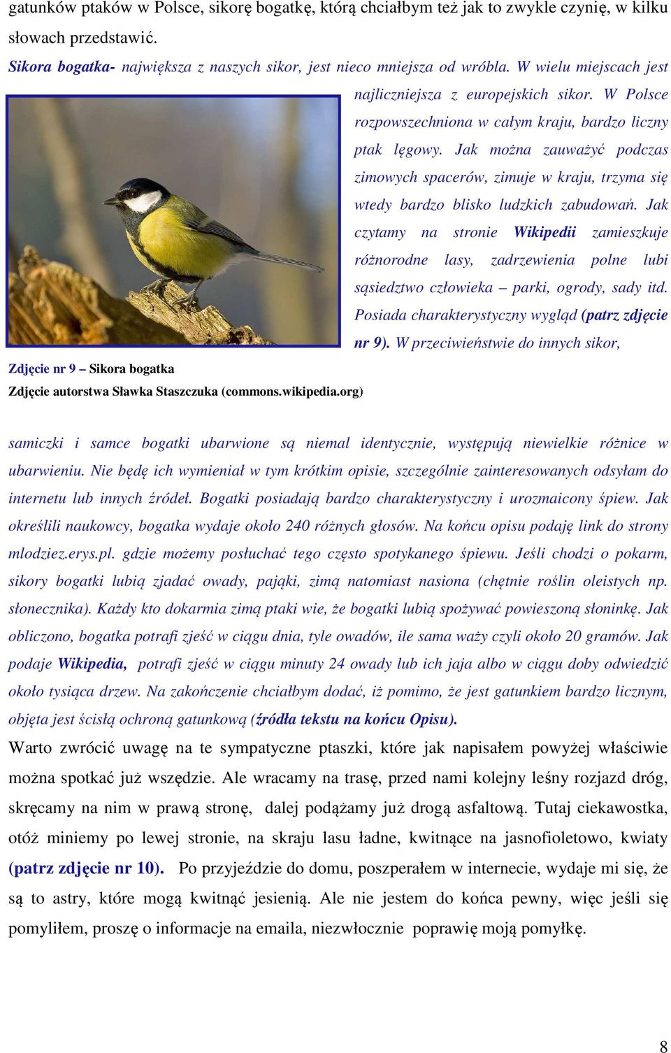Jak można zauważyć podczas zimowych spacerów, zimuje w kraju, trzyma się wtedy bardzo blisko ludzkich zabudowań.